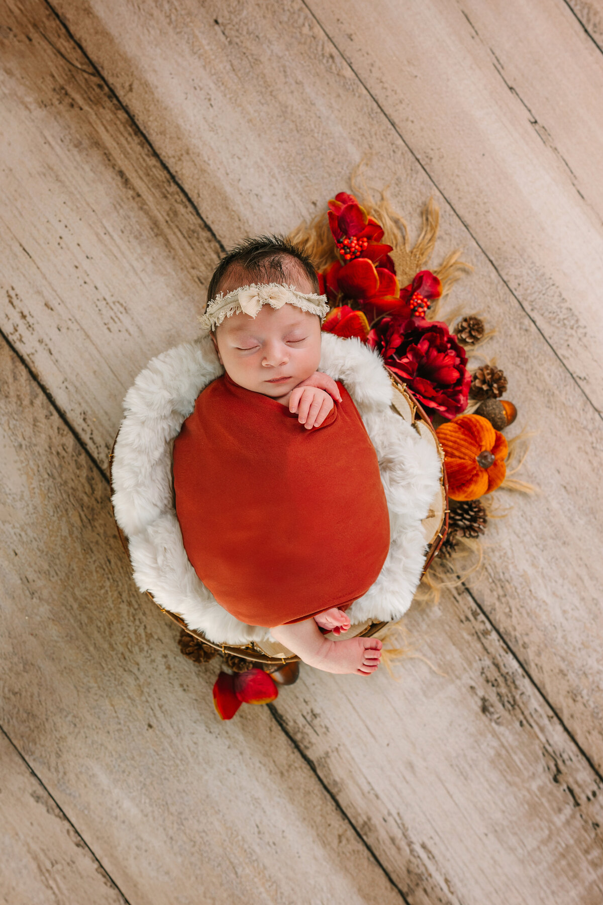 Lopez Studio Newborn-4059