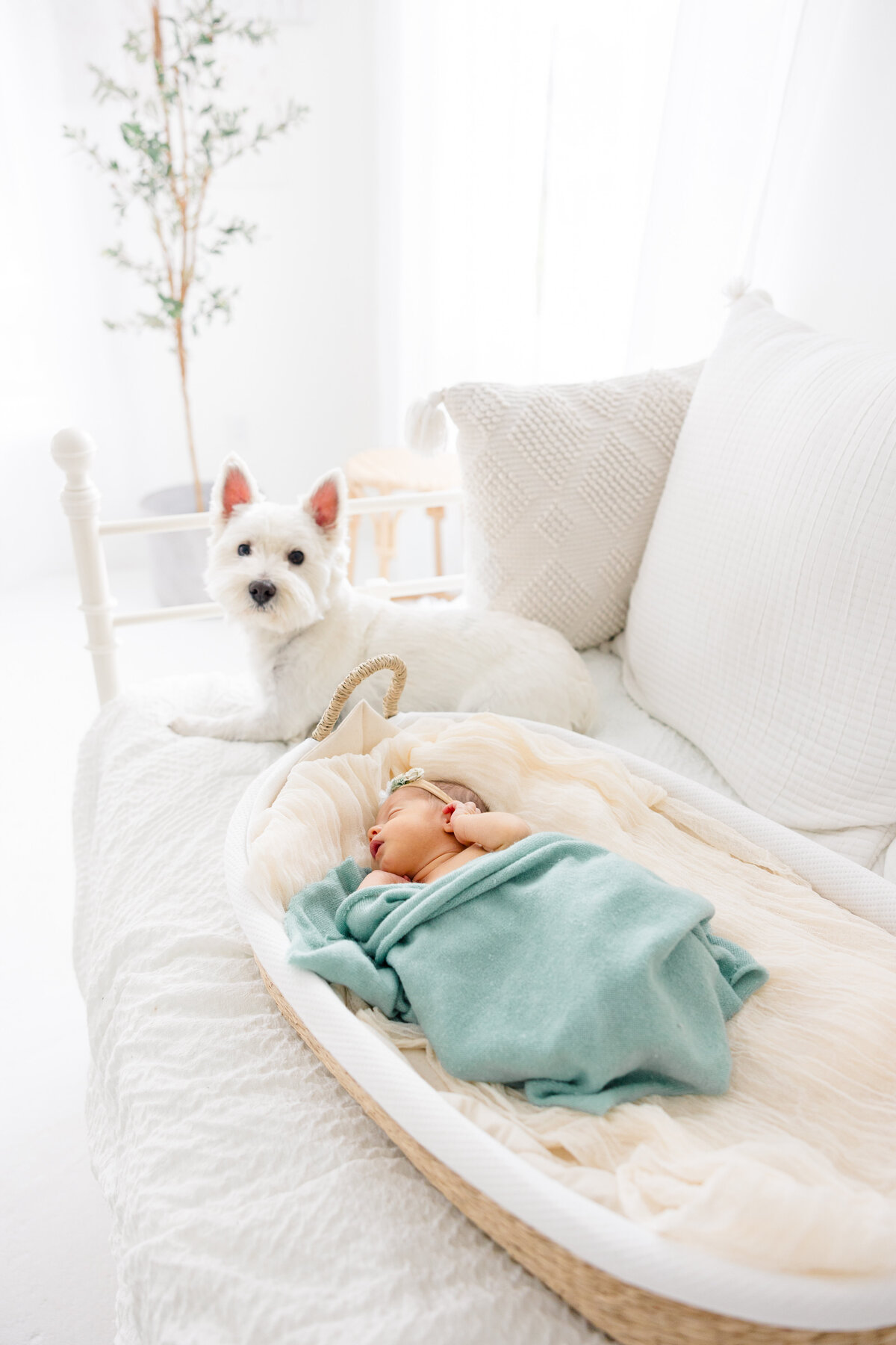 JenniferKamenPhotography- edina newborn photographer