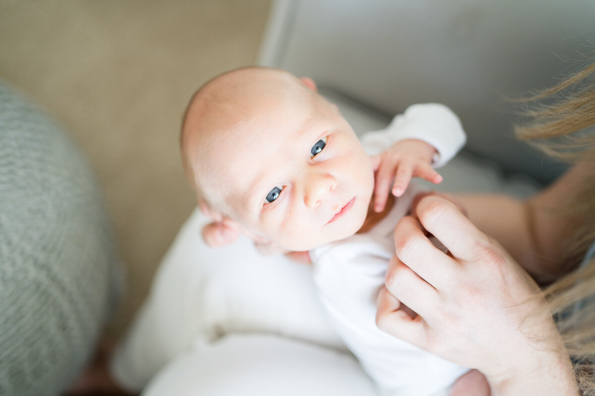 Newborn Photographer Austin