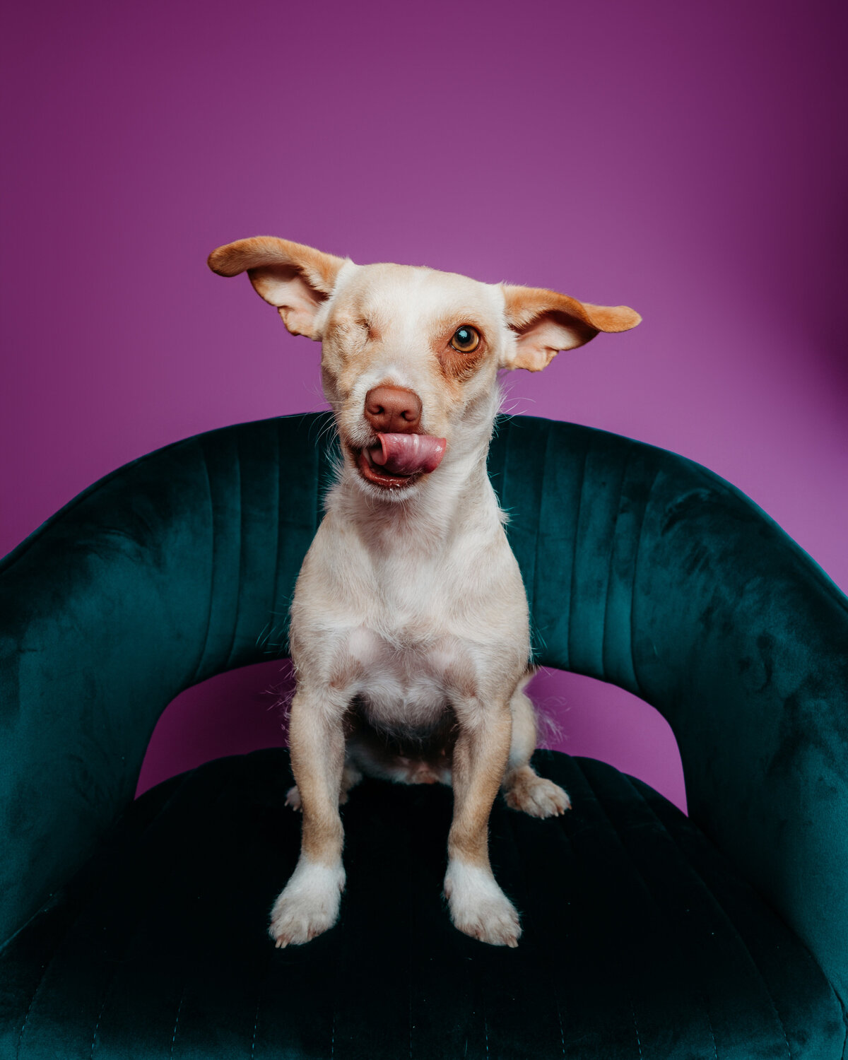 E06B1EDC-2C64-4528-AB6D-FBB5C118E9F7