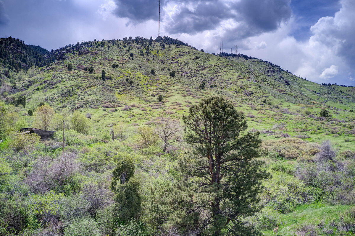 850 Shelton Rd_Aerial02