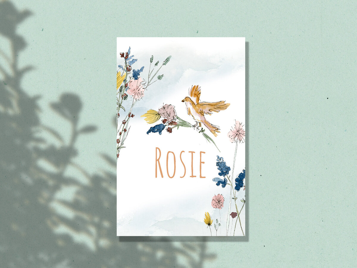 Geboorteconcept_Rosie