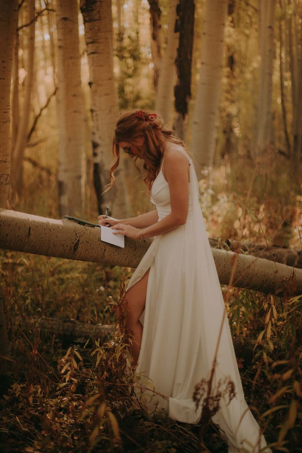 Andi_Nick_Ceremony_Celebrate-21