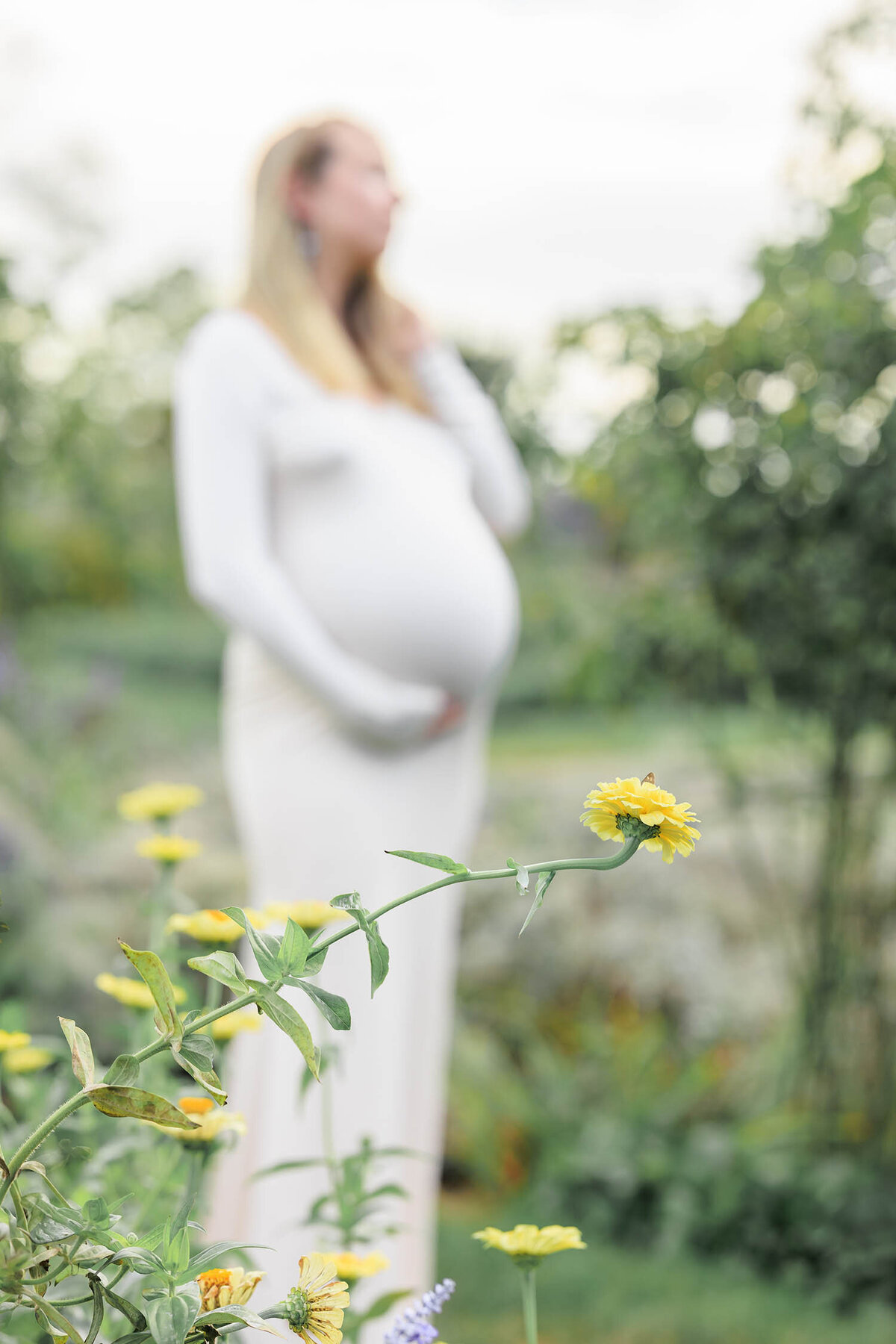 rose-garden-maternity-session-harkness-memorial-connecticut-3