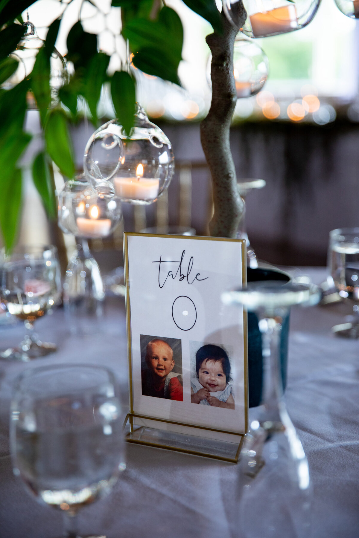 Neriphoto-holland-mi-wedding-photography-078
