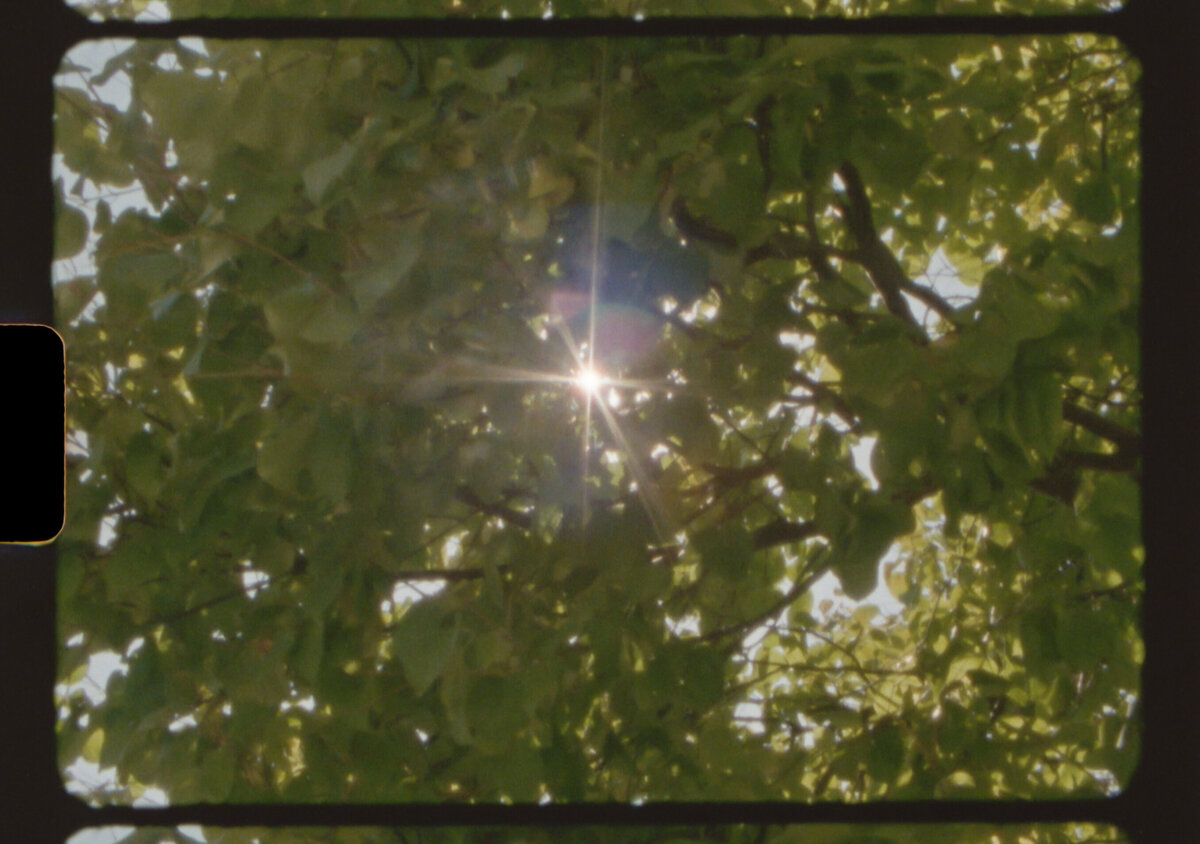 Screenshot 2025-10-28 at 1.05.45 PM