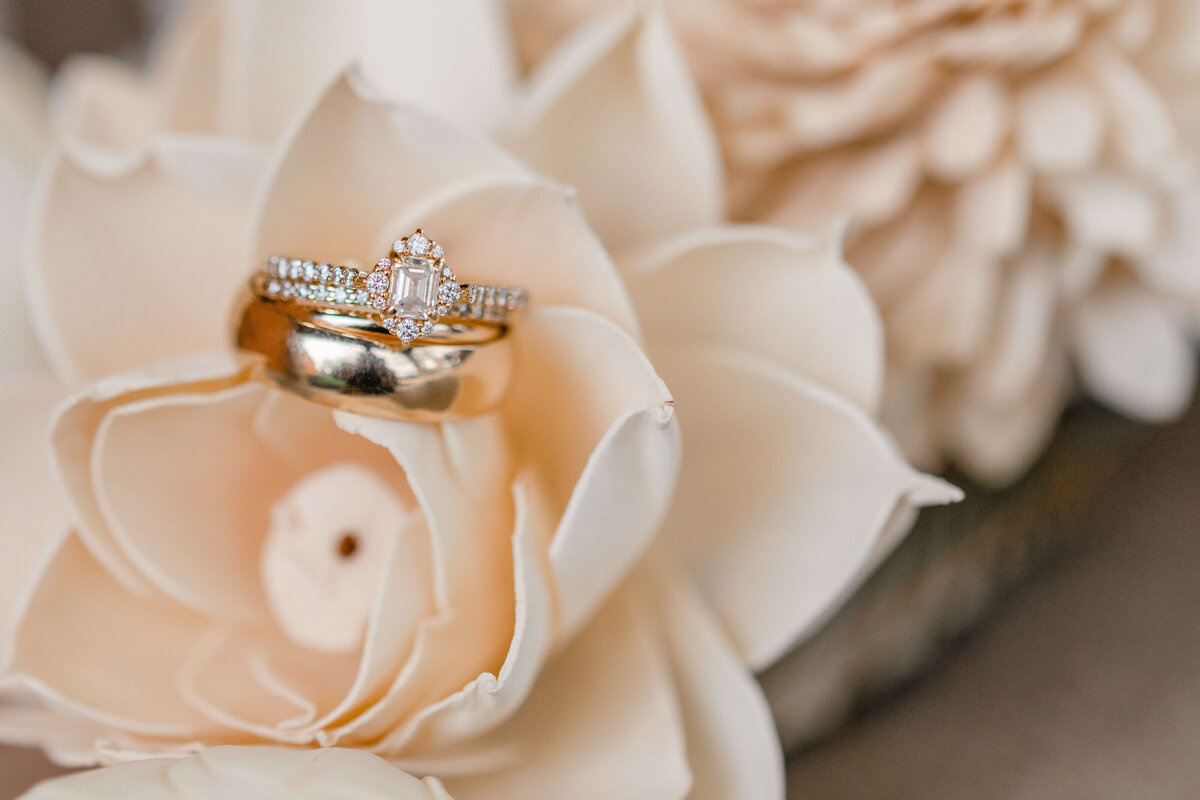 Sarah Steinke Wedding Photography in Ohio and Beyond 1