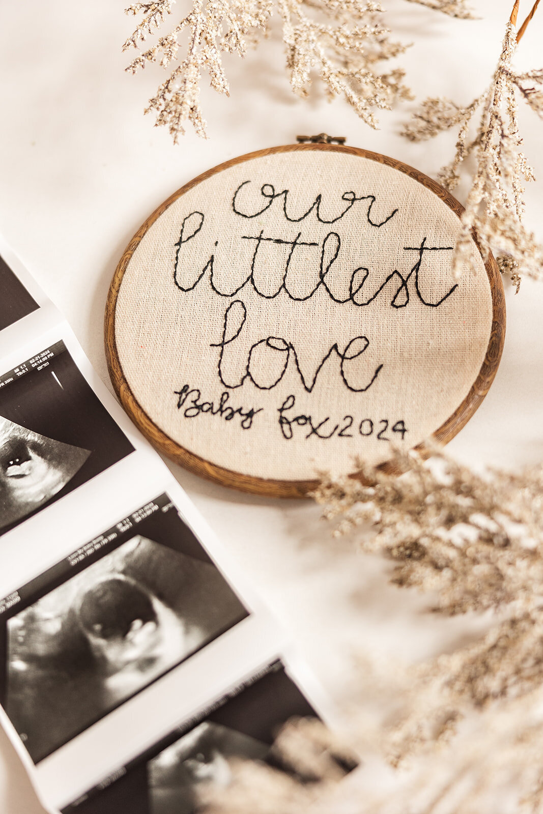 Announcement Photos 2024_Alexis Fox Photography + studio + Pregnancy Annoucement + Fortville + Indiana (16 of 29)