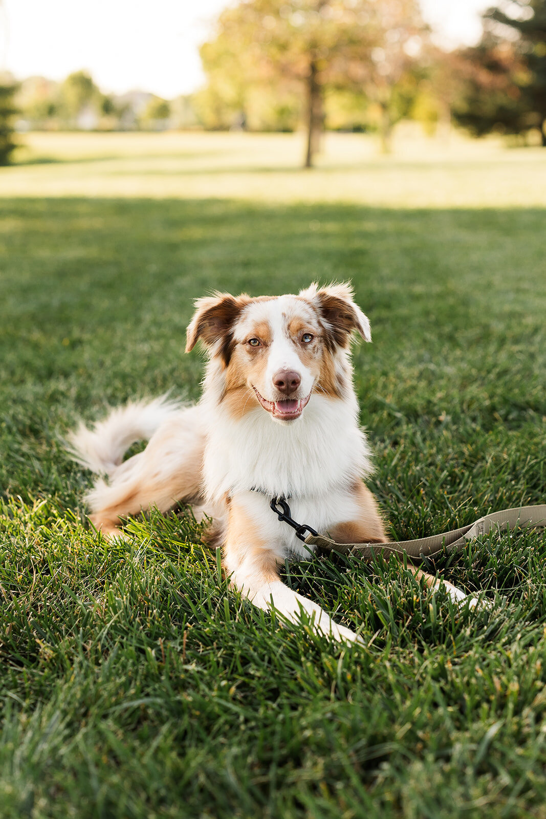Alexis Fox Photography + Couple Session + Cox Hall Gardens + Carmel + Indiana (39 of 64)