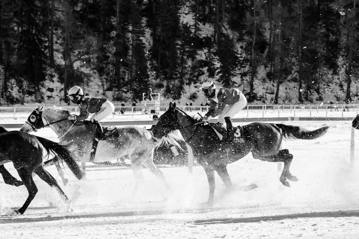 White Turf St. Moritz 25