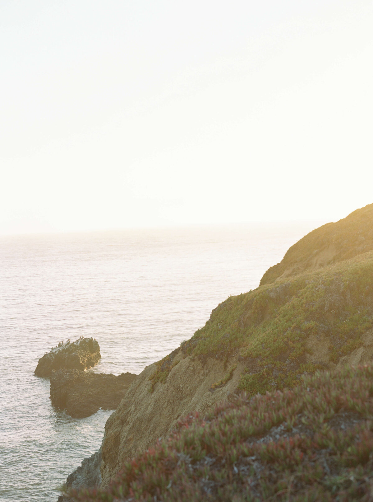 San-Francisco-Maternity-Photographer-54