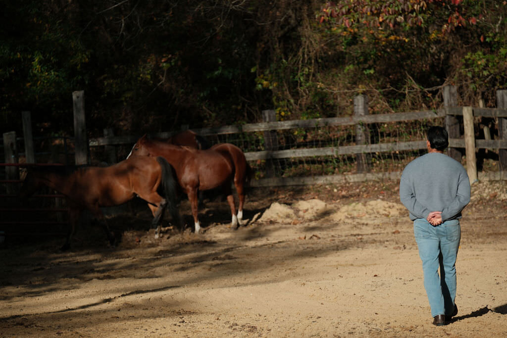 TheHoof_Selections_October_00135