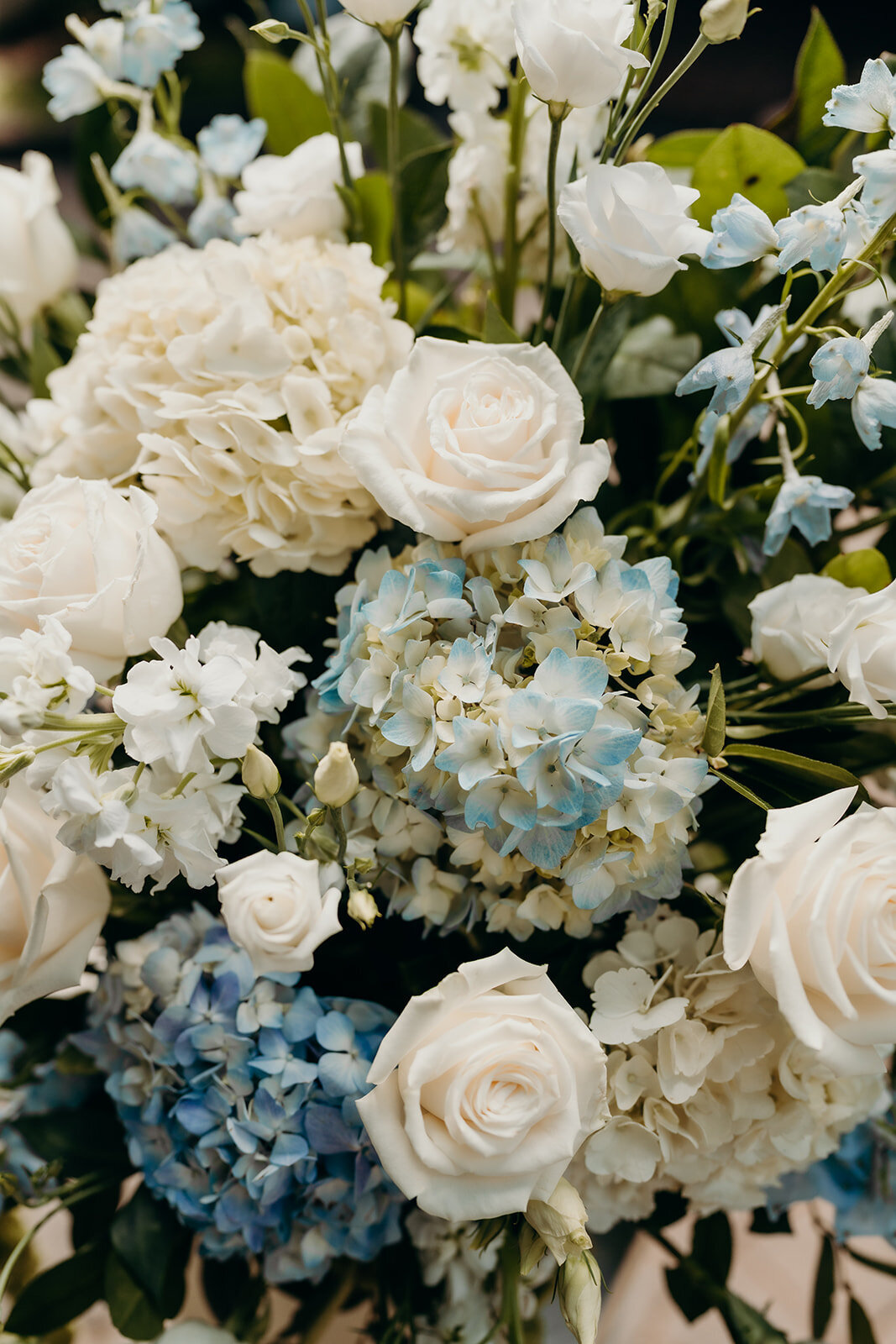 Morehead Inn Summer Wedding - 36