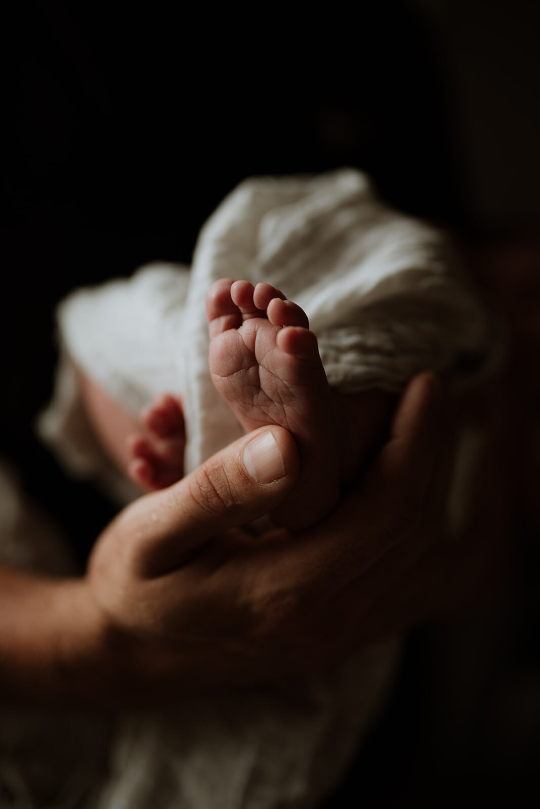 Newborn Woodstock2 - Linnea Geiger Photography-20