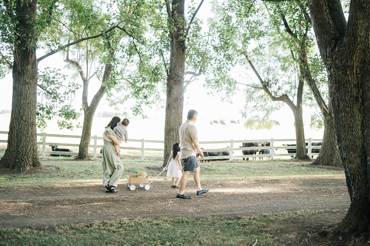Natural-family-with-toddler-inner-west-sydney-42