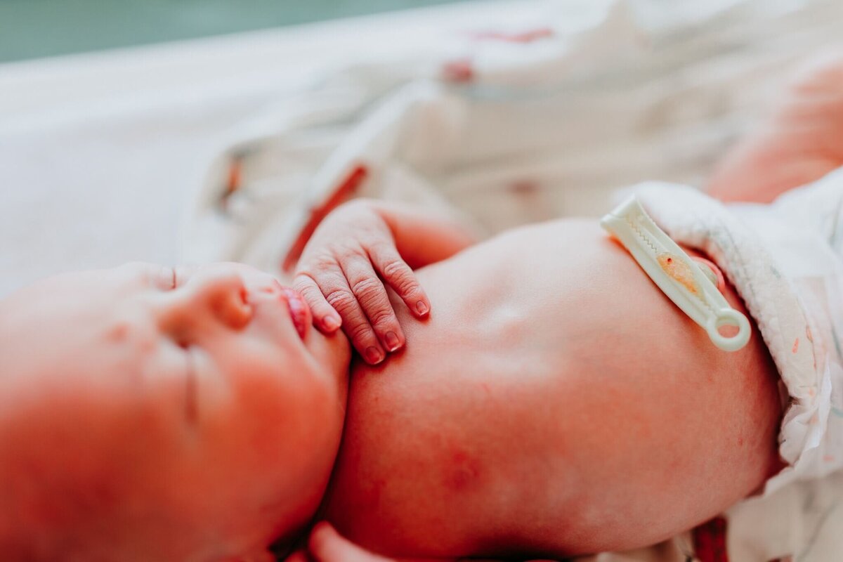 NW Arkansas fresh 48 photographer, fresh 48 photography near me, fresh 48 photos Northwest Arkansas, in hospital newborn portraits NW Arkansas