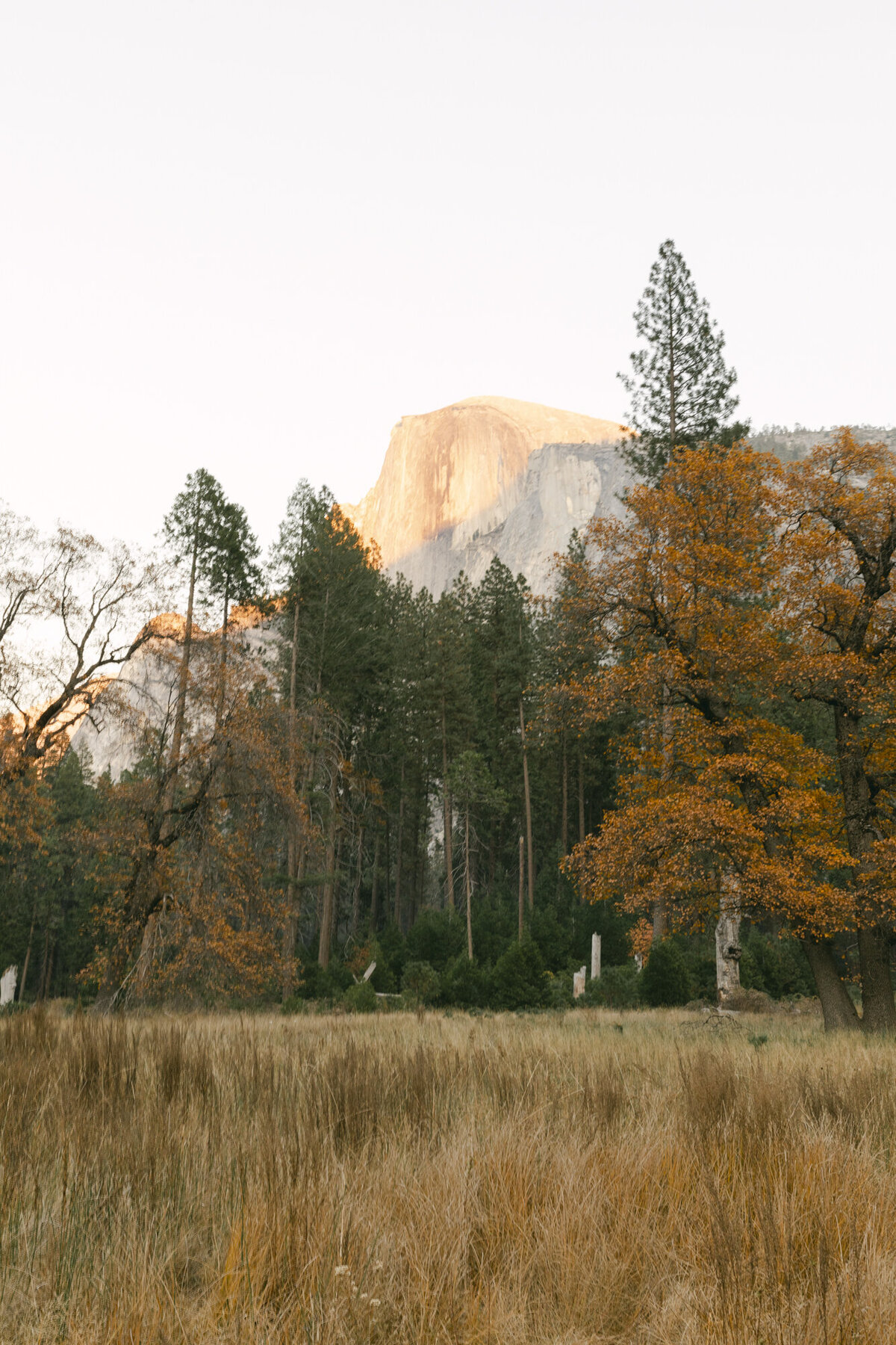 PERRUCCIPHOTO_YOSEMITE_ENGAGEMENT_59