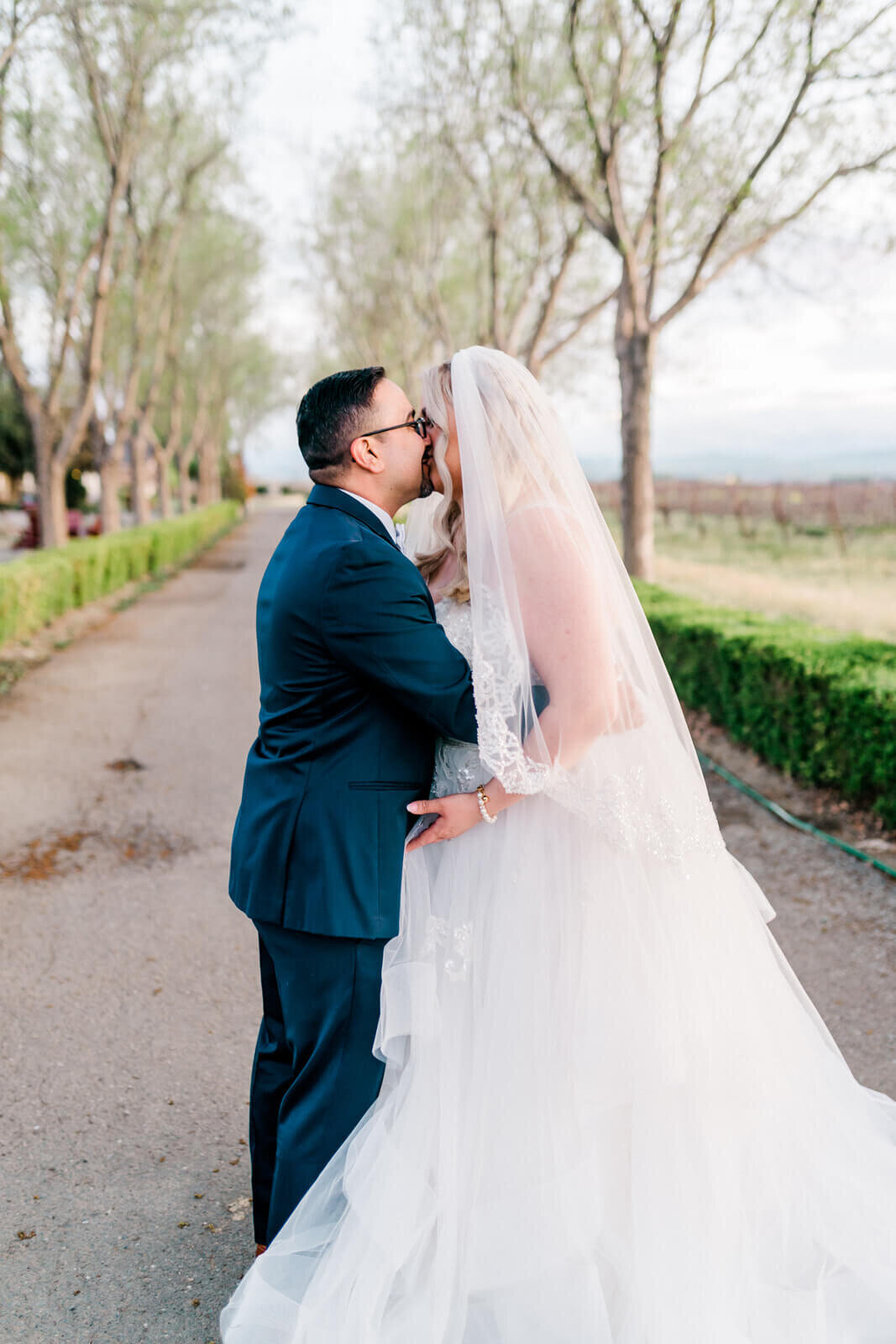 Wedding portraits captured by Vanessa Montano Photography – Livermore vineyard at sunset.