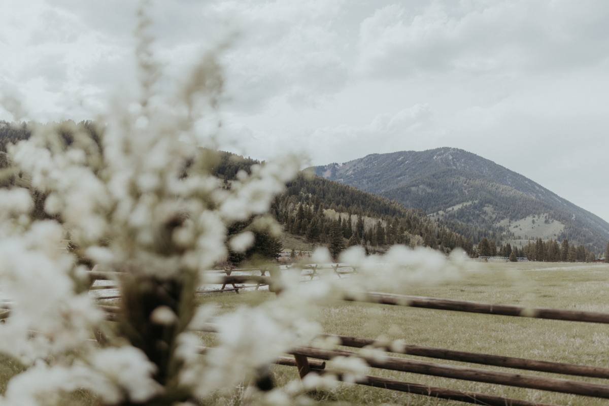 Montana wedding photographer