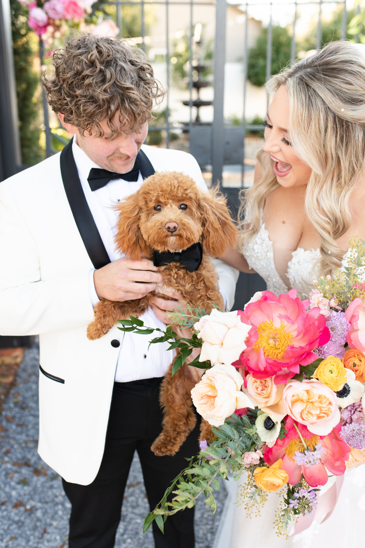 Bride and groom with puppy in Pensacola Florida