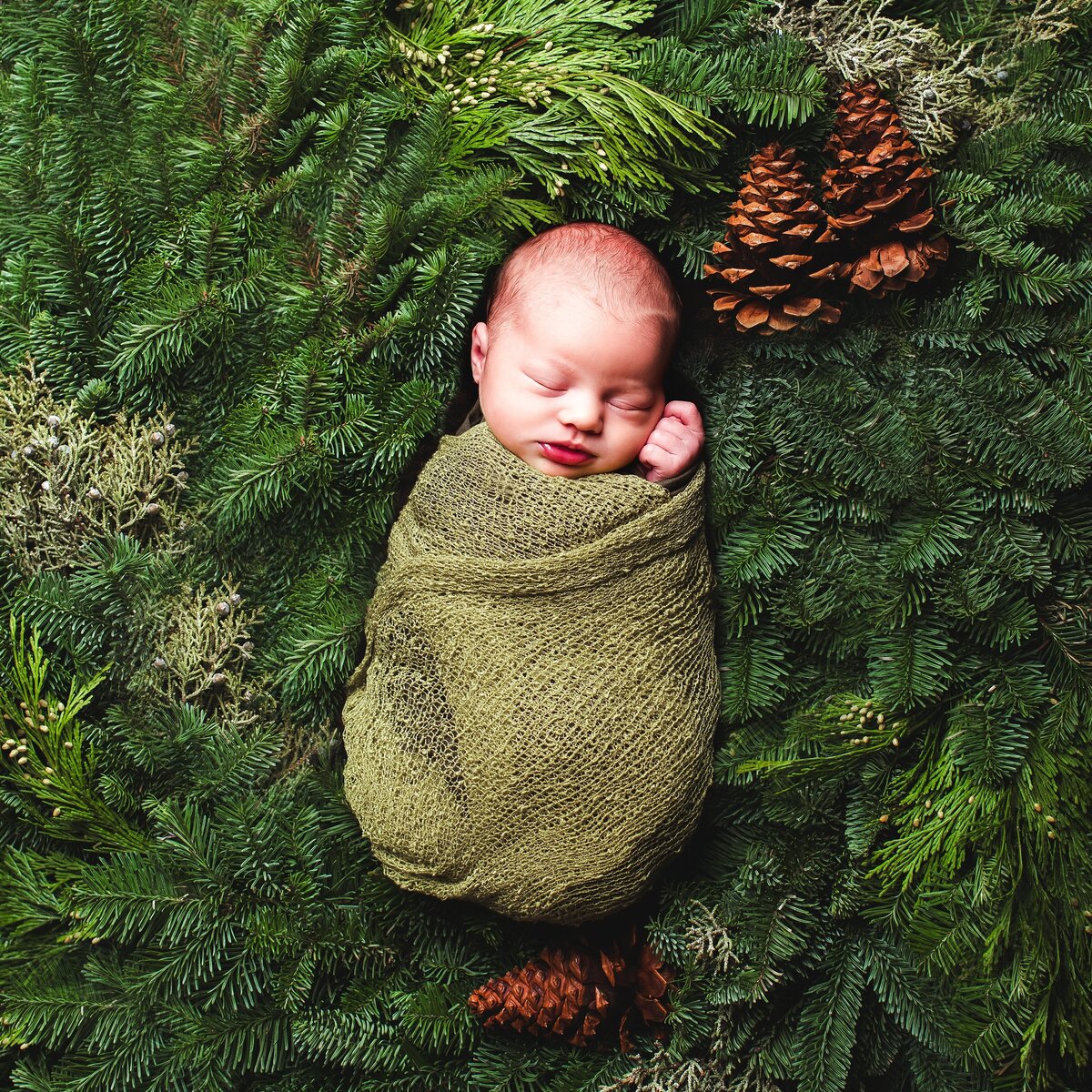 Newborn and Maternity Photographer Roslyn Washington