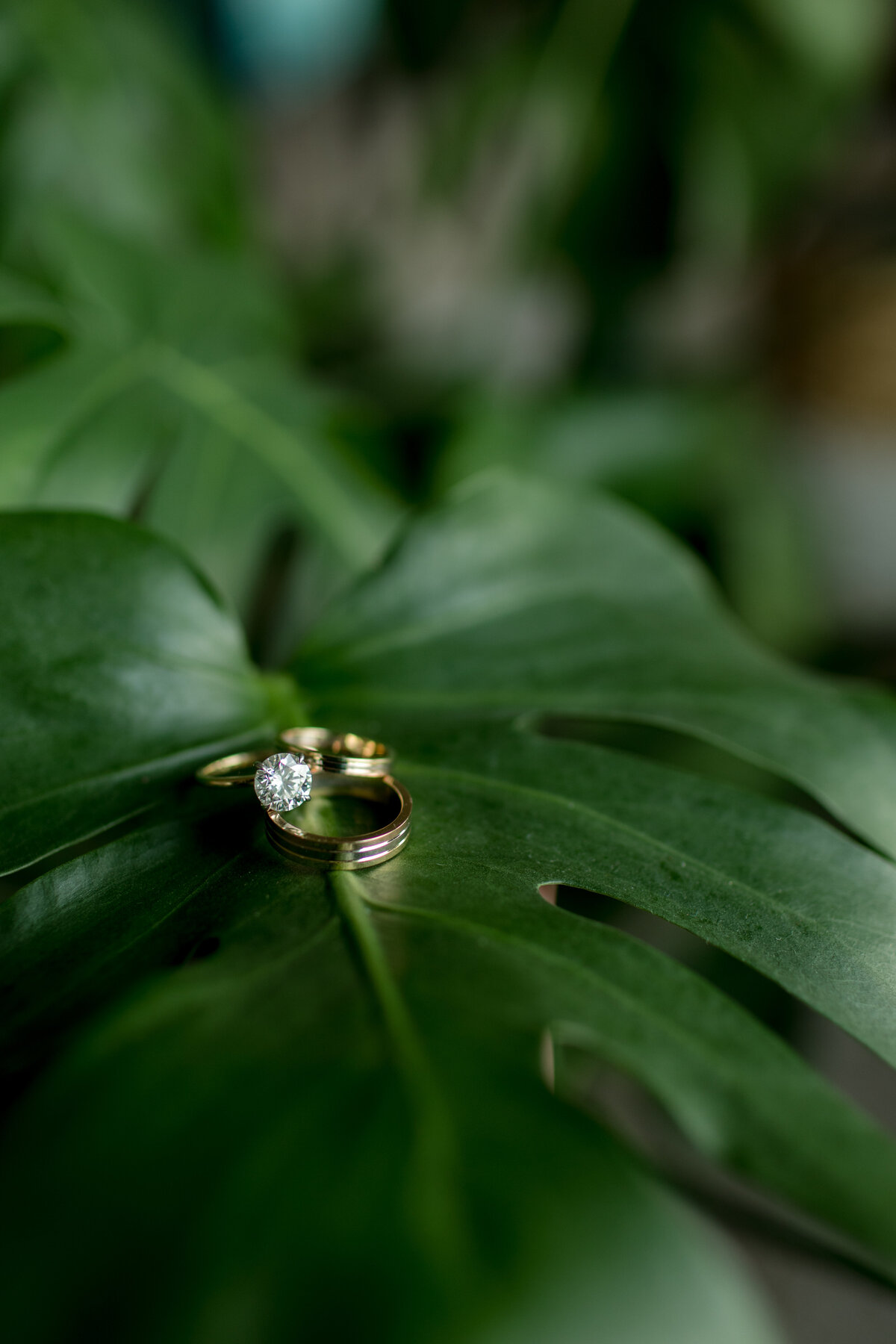 photosbybailey-2024-sam-and-andrew-elopement-seattle-14
