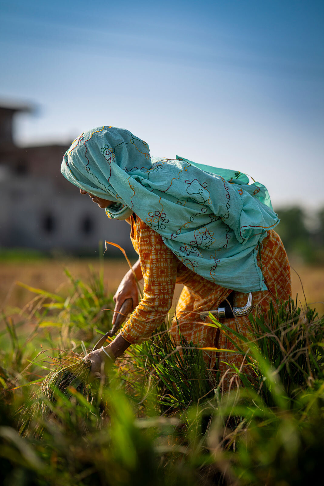 punjab_6
