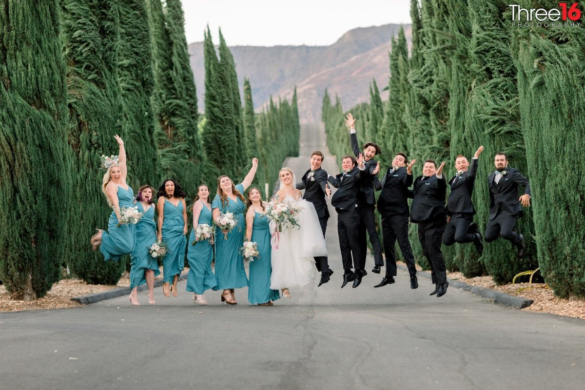 Wedding Party jumping for joy at Bella Vista Groves