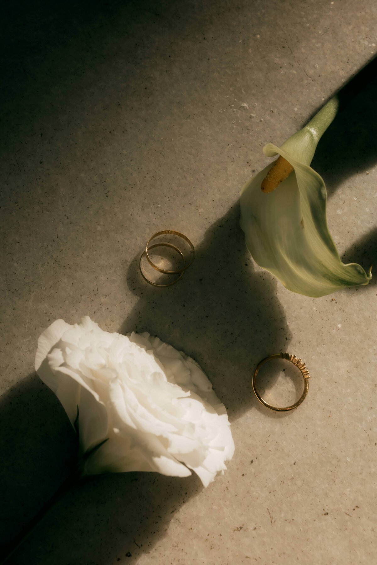 pexels-alexander-mass-748453803-34100237