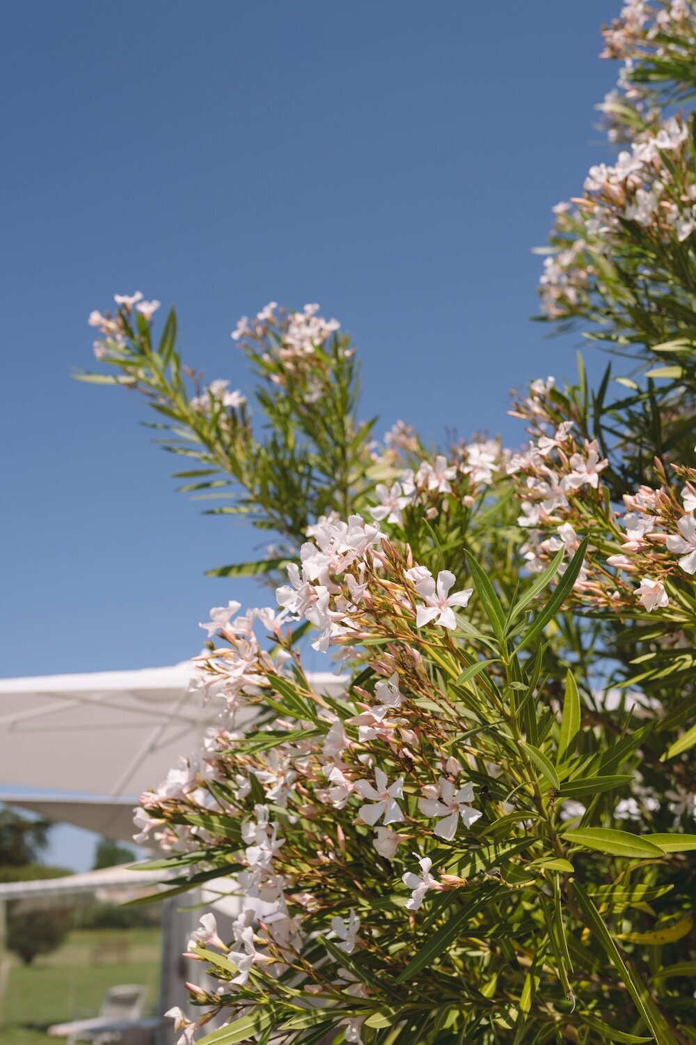 terrasse-jardin-hotel-noirmoutier