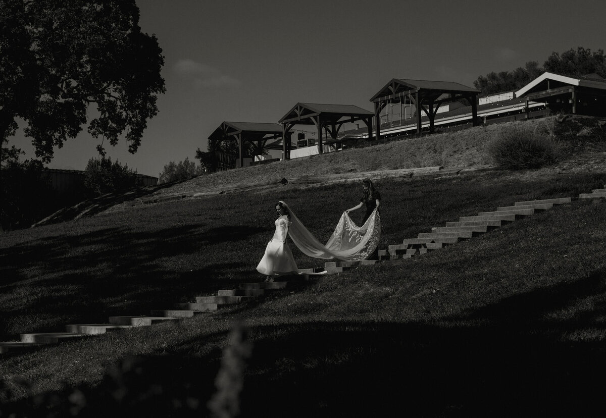 DSC_6371