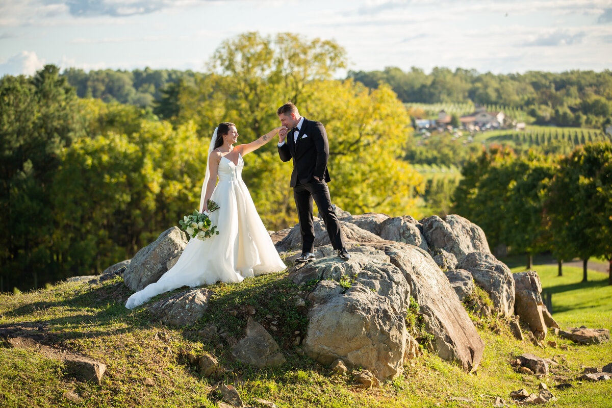 loudoun-studios-wedding-bluemont-blue-valley-vineyards-virginia00013