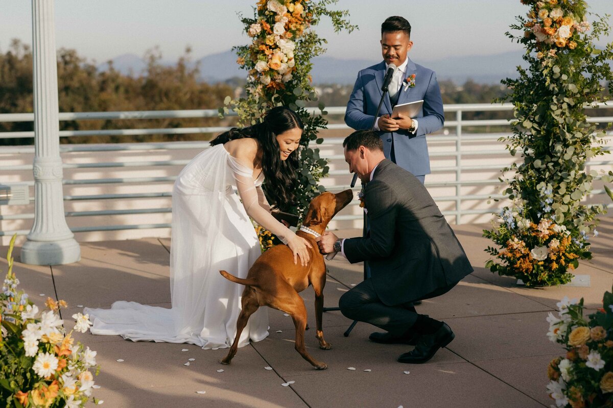markanddianewedding-273_4_11zon