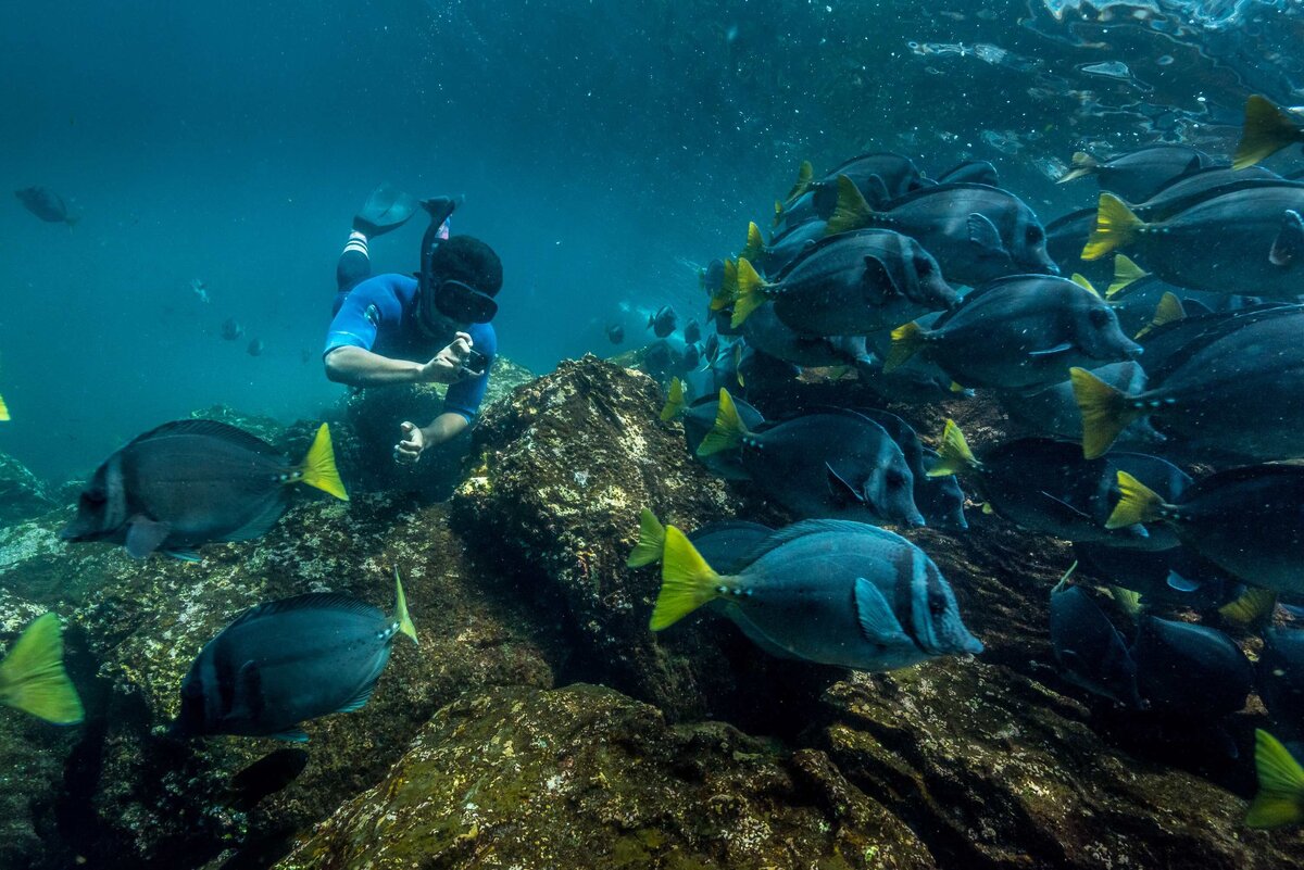 Waterstone - Metropolitan Touring- Ecuador - Luxury Destination Management Services - Galapagos-Experience-Genovesa-El-Barranco-snorkeling-fish-people 