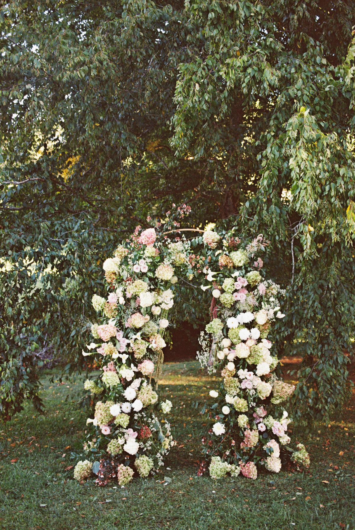 A hydrangea floral wedding arch at an outdoor ceremony. 