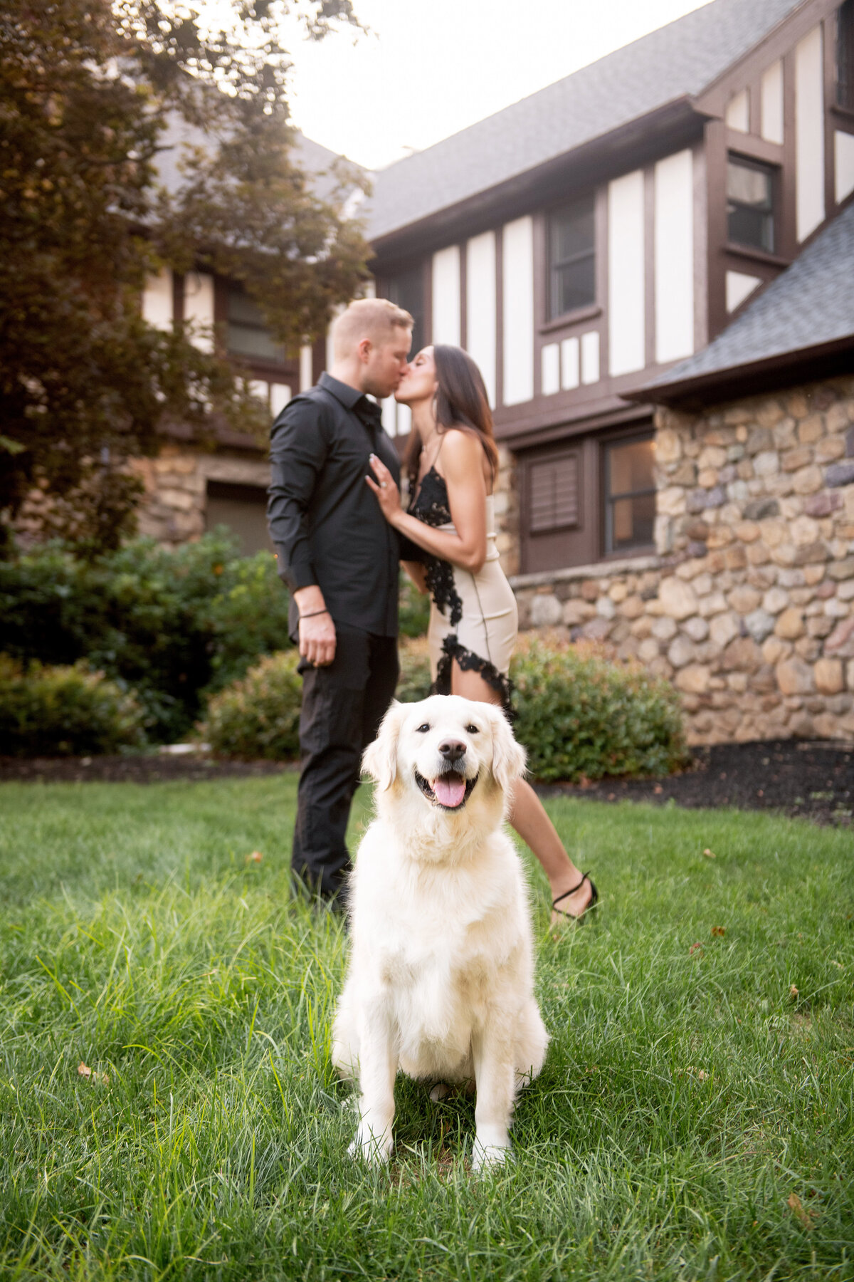 engagement with dog sl