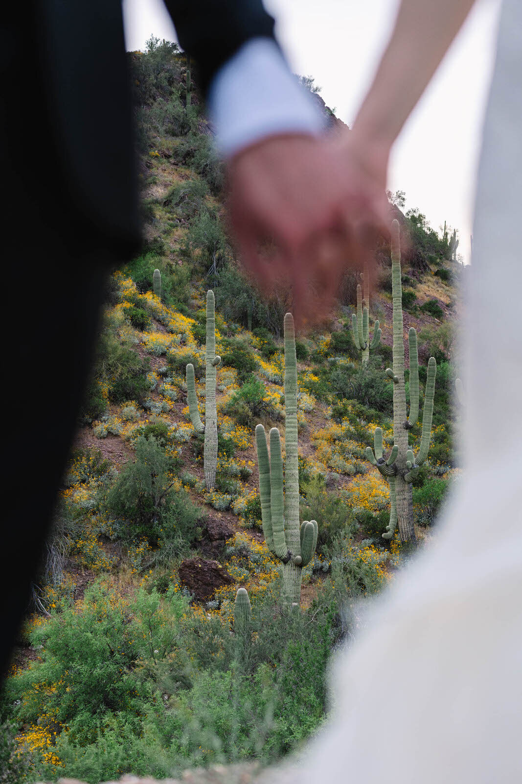 2023-Lauren+Ted-Wedding-94