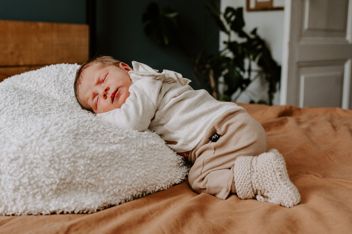 everatilroefotografie.-107