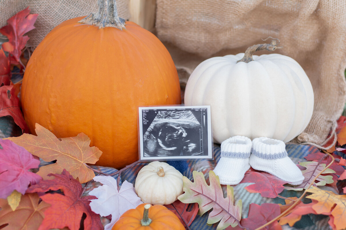 Kayla&Kyle Maternity Photos_2024_001