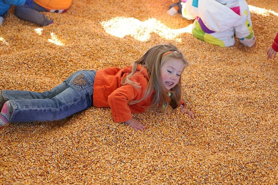 more corn fun