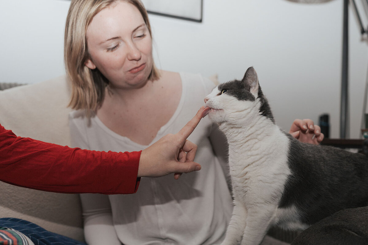 Newlyweds pet their white cat 