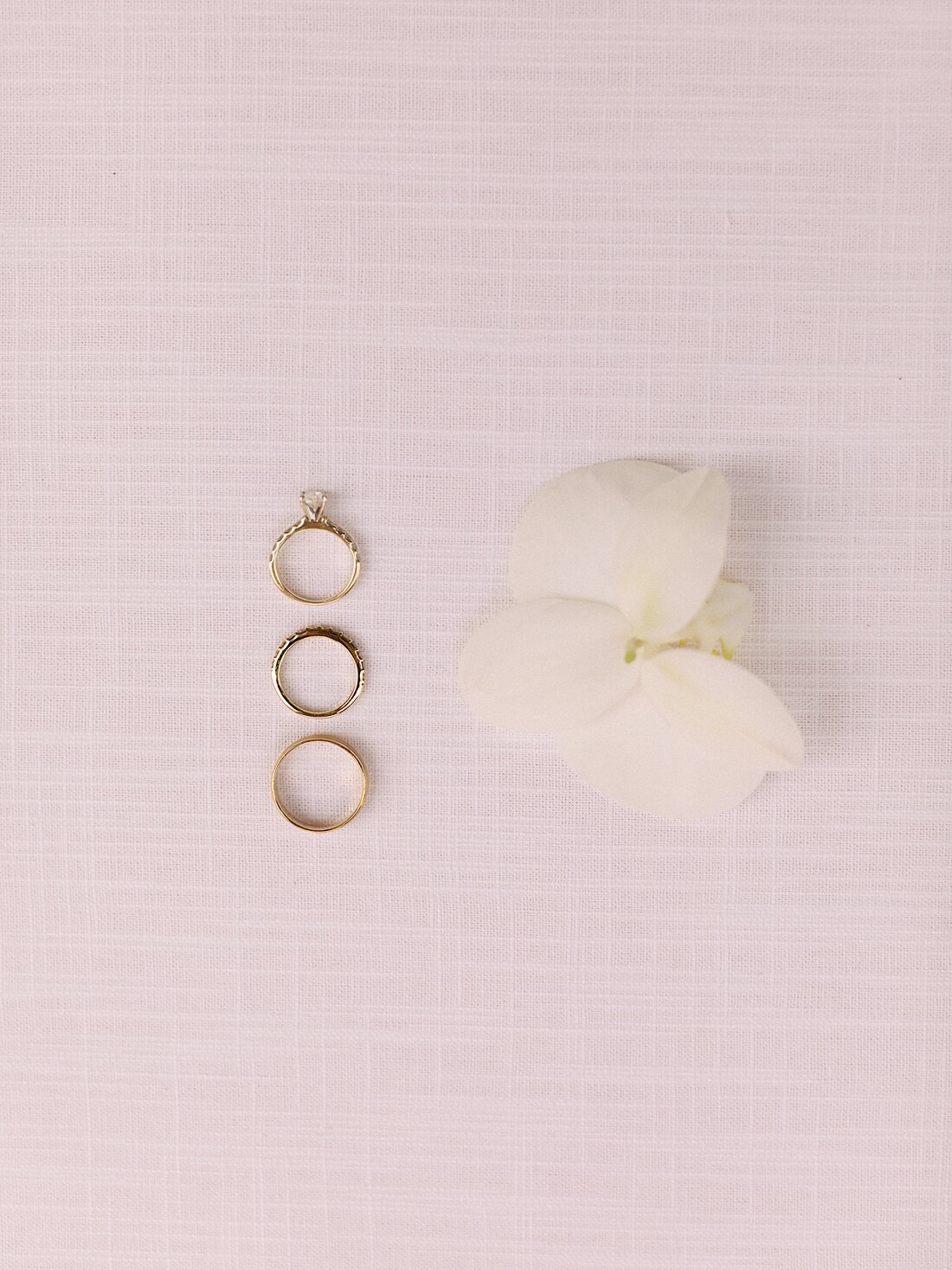 AshleyCookPhotography-15