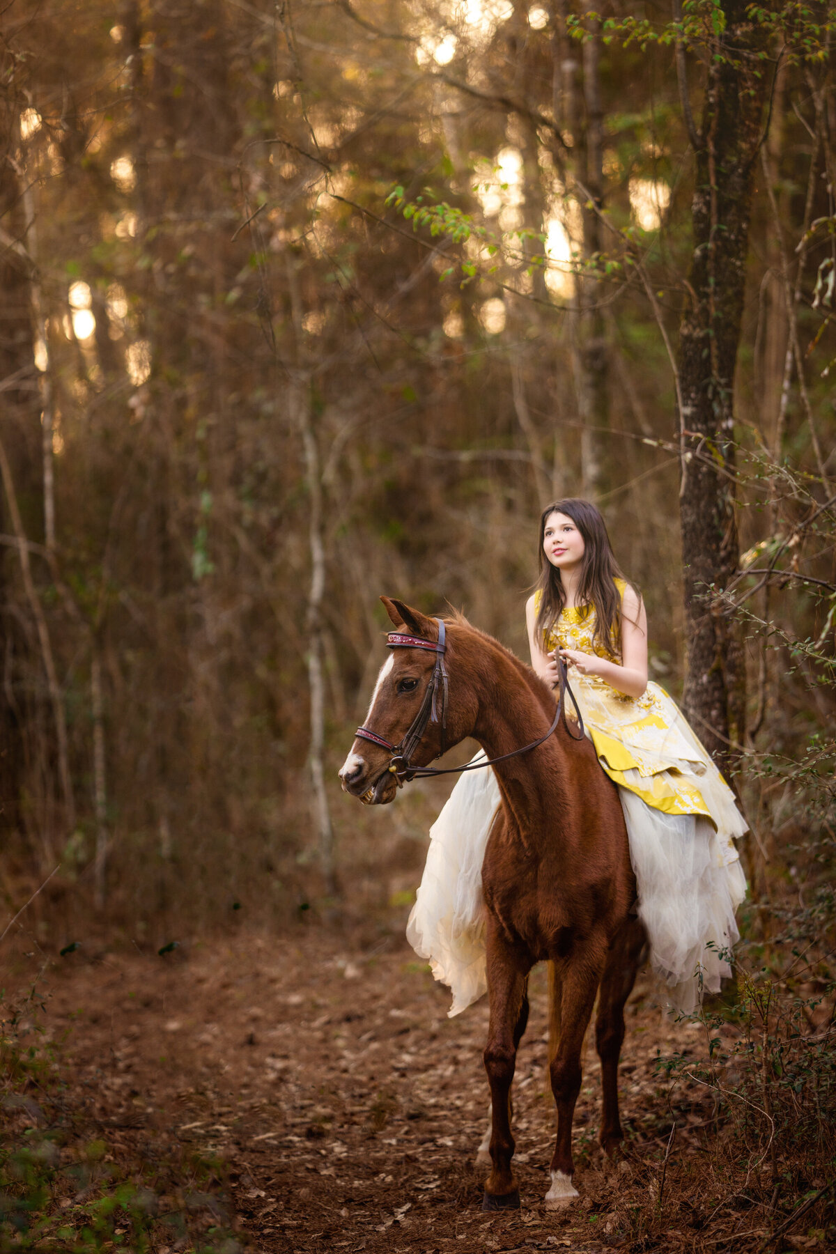 10 year old girl is riding an Arabian horse on a trail.  The girl is wearing a mustard and cream tulle gown.  The brown horse has her head turned and her ears forward.  The girl is looking up into the distance and holding the reigns.  There are lots of brown leaves on the ground.