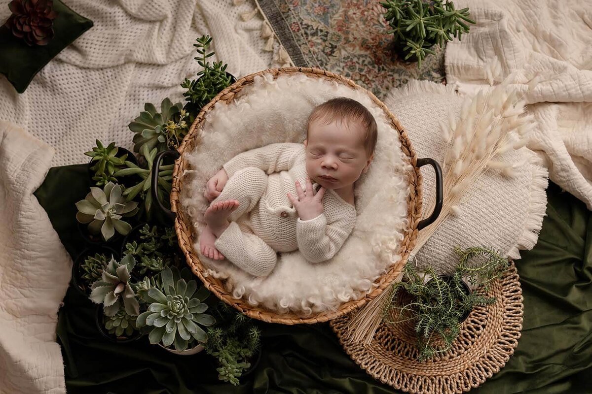 Springfield-Newborn-Photographer-34