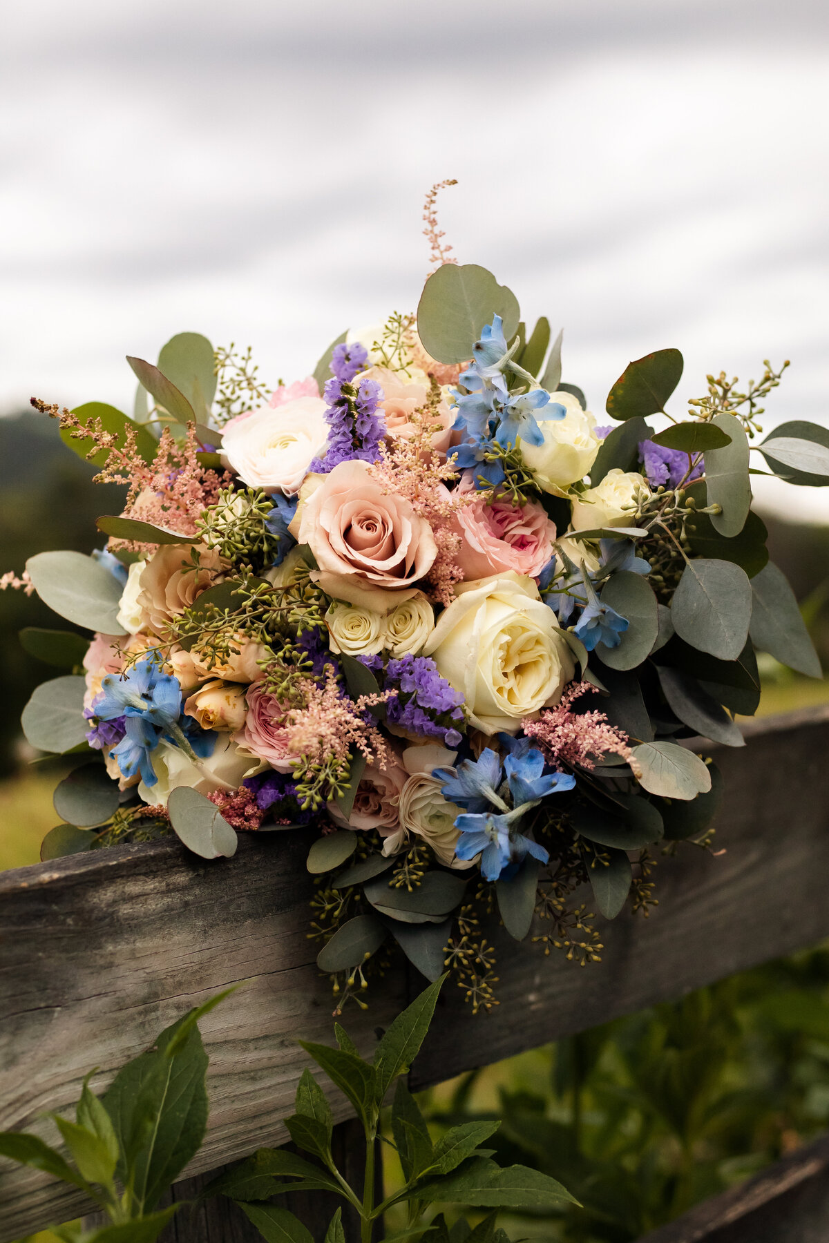 engagement and wedding photographer in charlottesville