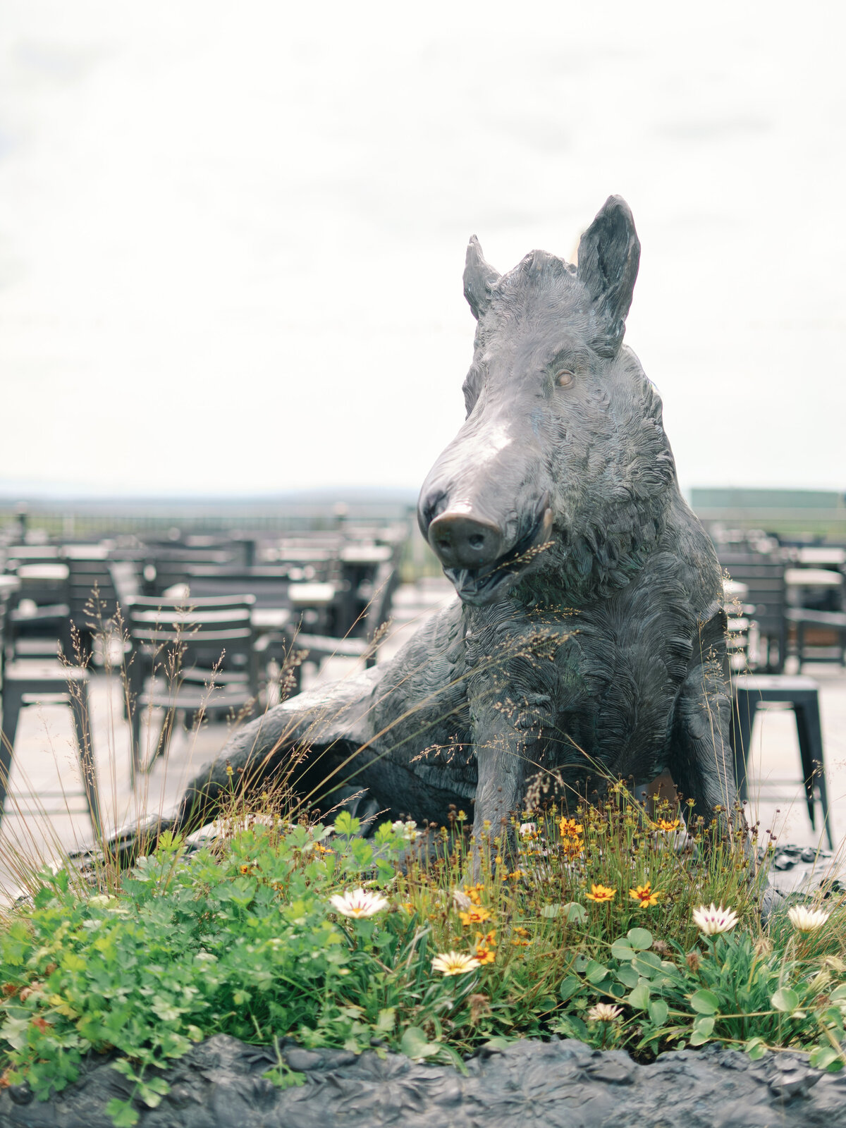 C+D_Stone Tower Winery_Luxury_Wedding_Photo_Skyler Jordan Photography