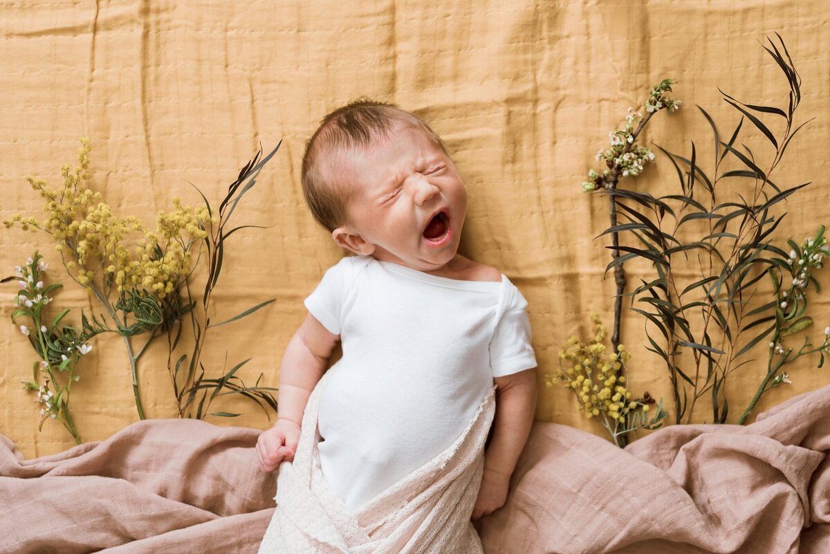 Ellensburg Newborn Photographer