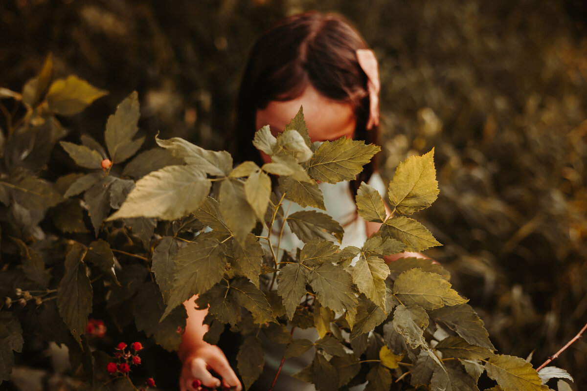 Nature photography - Amanda Nicholle Photography