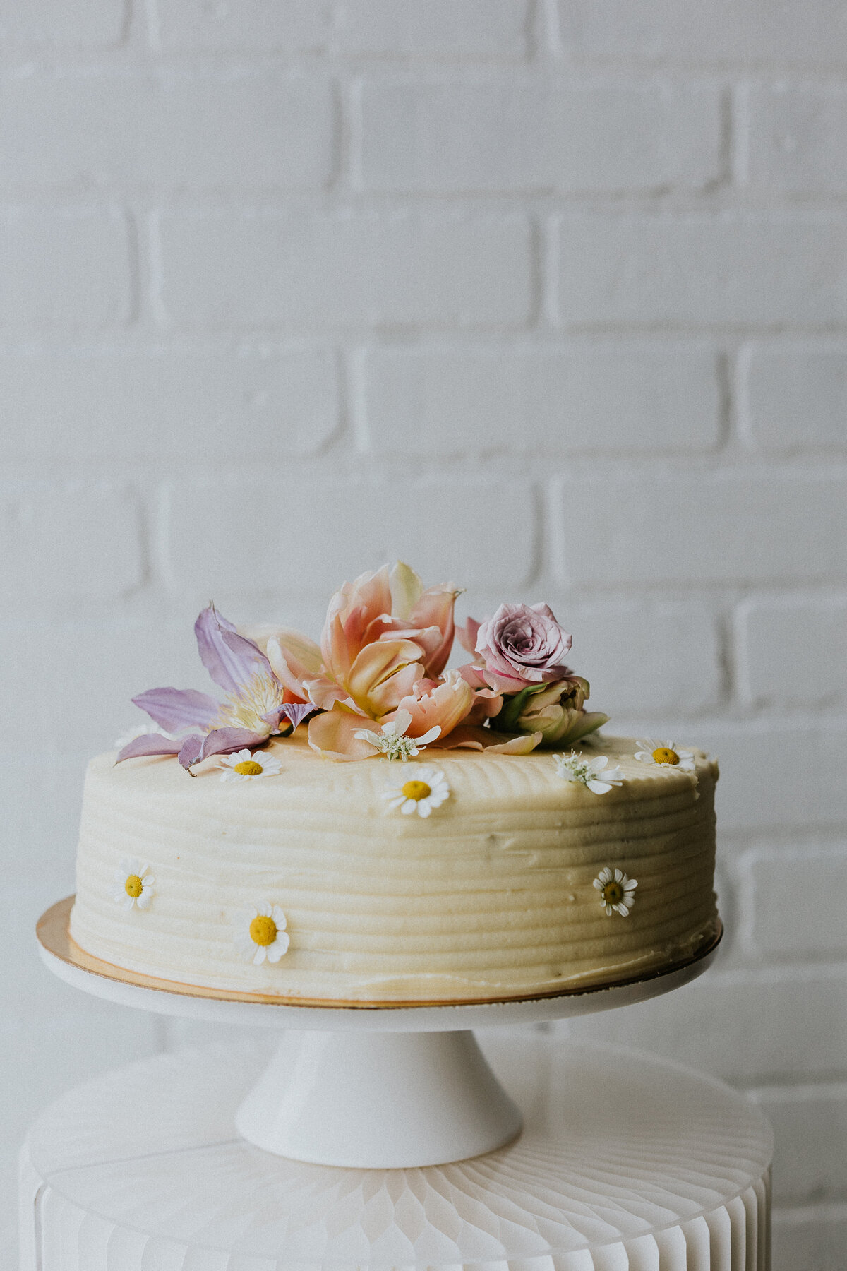 kathryn-mclaren-photography-wwc-studio-elopement-1