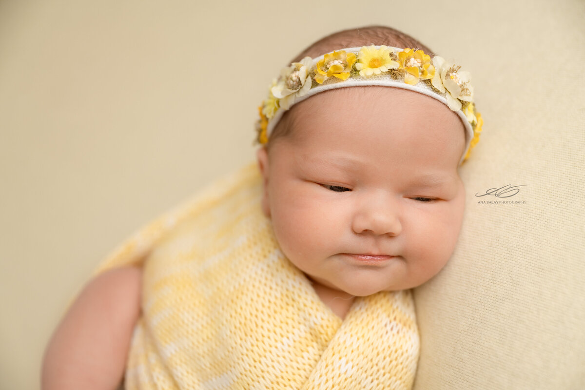 Edmonton Newborn Photography daisy yellow cloth wrapped baby
